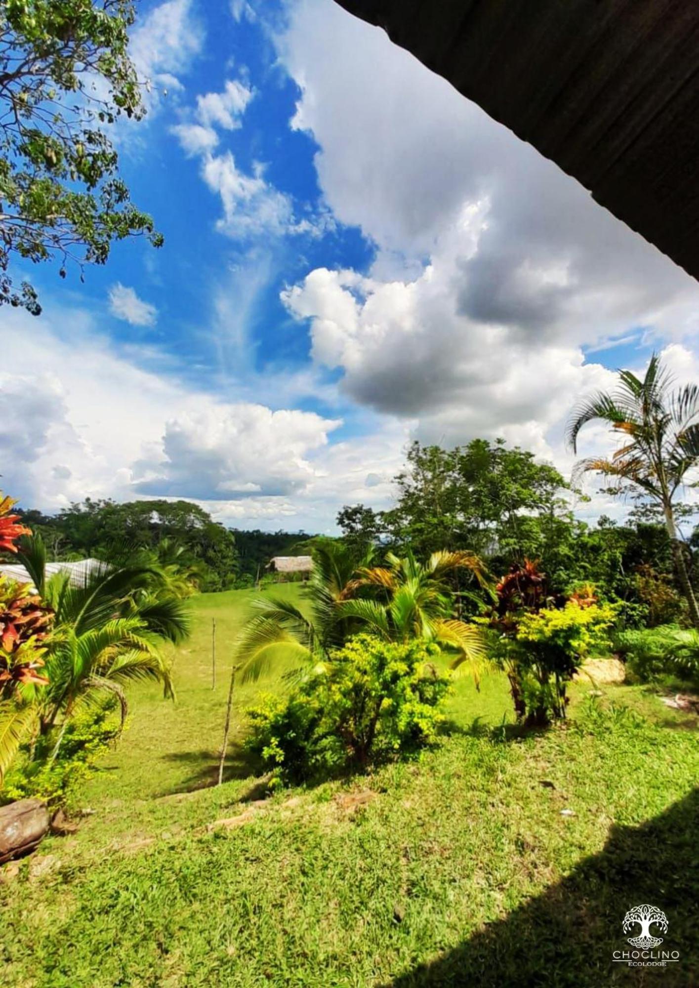 Choclino Ecolodge -Bungalows Tarapoto Exterior photo