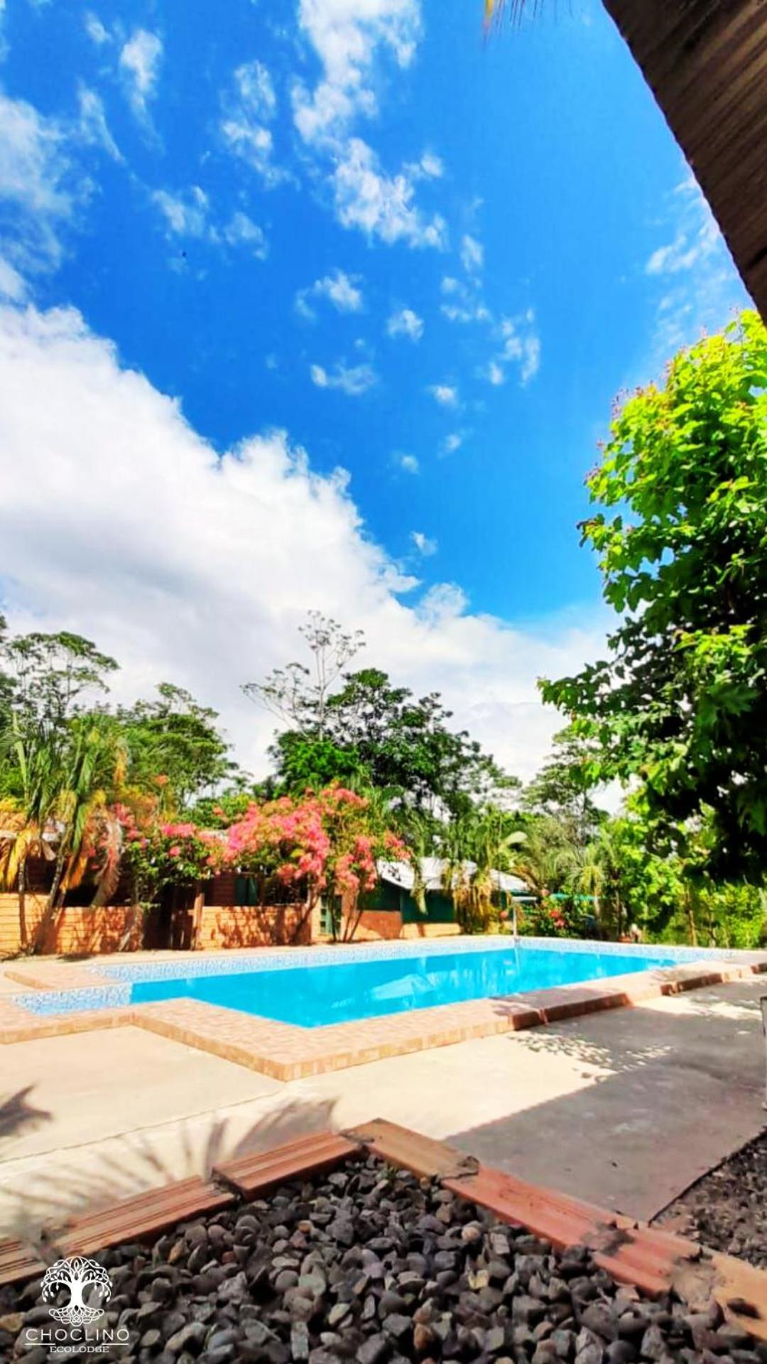 Choclino Ecolodge -Bungalows Tarapoto Exterior photo