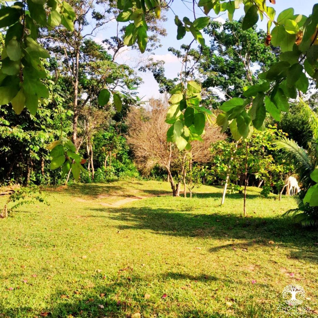 Choclino Ecolodge -Bungalows Tarapoto Exterior photo