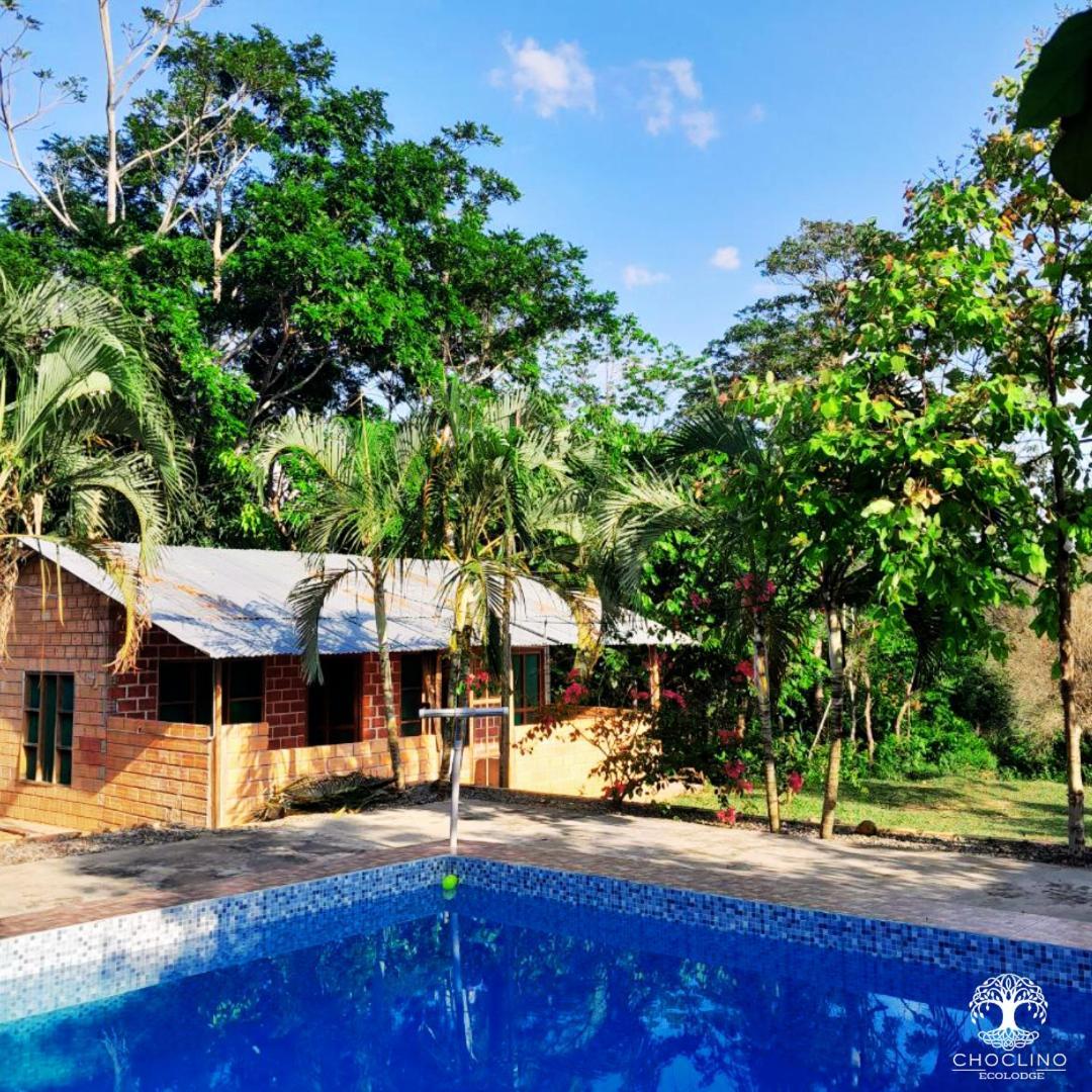 Choclino Ecolodge -Bungalows Tarapoto Exterior photo