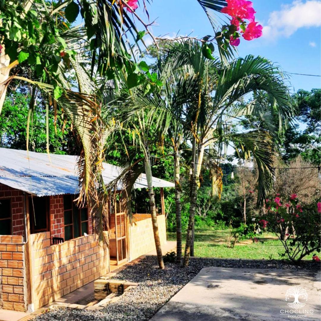 Choclino Ecolodge -Bungalows Tarapoto Exterior photo